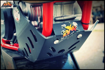 AXP GP Motorschutz Beta RR 350, 390, 430, 480 2015-2019
