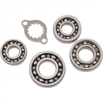 Getriebelager Kit Honda TRX 400 2005-2014