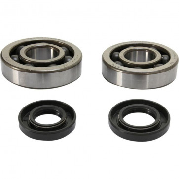Kurbelwellenlager Set mit Dichtringen Kawasaki KX 250 2003-2008 