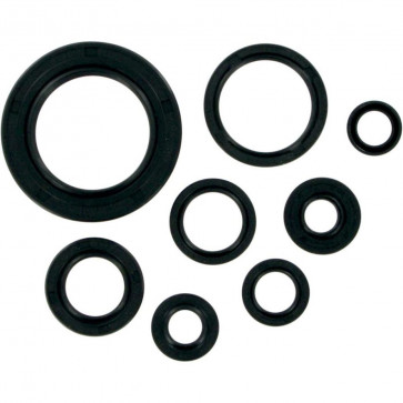 Motor Simmerring Satz Honda CR 500 1989-2001