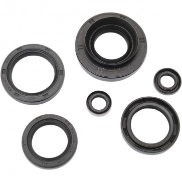 Motor Simmerring Satz Kawasaki KVF 750 2012-2015