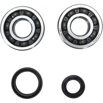 Kurbelwellenlager Set mit Dichtringen Suzuki RM 125 1989-1998