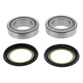 All Balls Lenkkopflager Kit Honda CRF 250 2018-2019