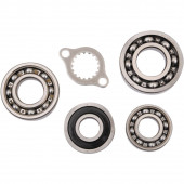 Getriebelager Kit Honda TRX 400 1999-2004
