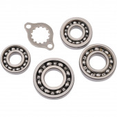 Getriebelager Kit Honda TRX 400 2005-2014