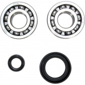 Kurbelwellenlager Set mit Dichtringen Honda CR 500 1982-2001