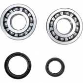 Kurbelwellenlager Set mit Dichtringen Suzuki RM 250 2000-2002