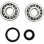 Kurbelwellenlager Set mit Dichtringen Suzuki RM 80, 85 1999-2019