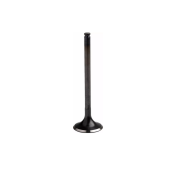 Prox Stahl Auslass Ventil KTM EXC, SX 400, 450, 520, 525 1999-2007