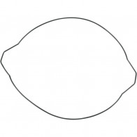 Kupplungsdeckeldichtung Yamaha YZ 250 1999-2019