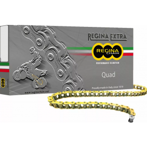 Regina Z-Ring Quad Kette 520 Teilung verstärkt 118 Glieder 